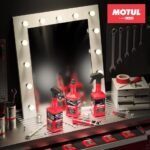 Motul Böcek ve Sinek Temizleyici Sprey 500 Ml Insect Remover